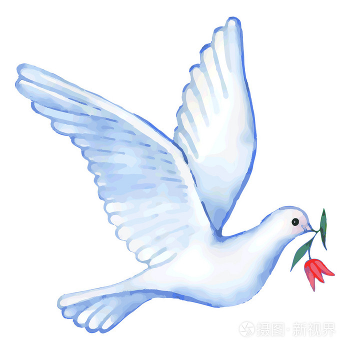 飞翔的鸽子,矢量图的水彩