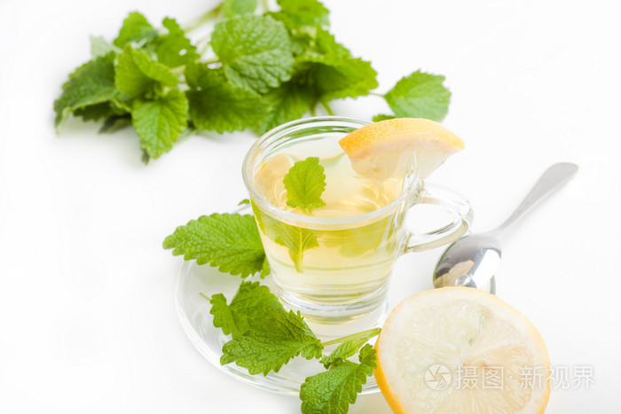白色背景上的绿色叶草药柠檬香蜂草茶
