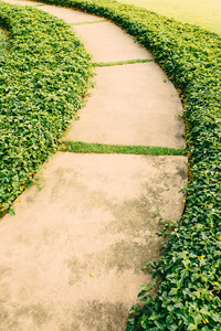 花园路径的方式图片