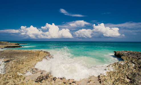 野生的加勒比海滩。多米尼加共和国。在多米尼加共和国的热带沙滩。宁静的度假村。在热带海滩，加勒比海上的棕榈树。在日落的时候在塞舌尔