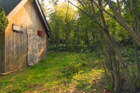 在阳光明媚的森林小屋