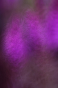 抽象背景的紫色色调插图