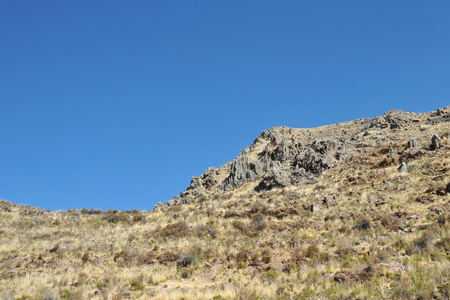 高原地区。玻利维亚