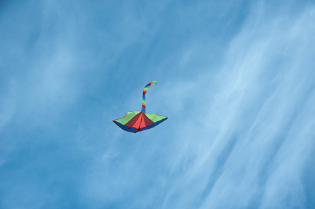 风筝在天空中飞翔