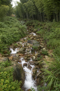 美丽中国风景照片