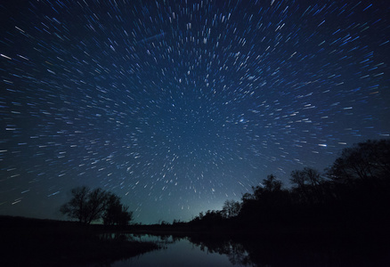 美丽的夜空 银河 星迹和树木