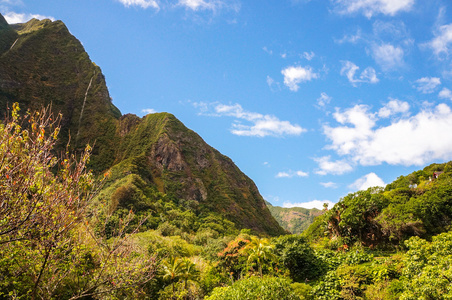 Iao Valley，毛伊岛，夏威夷美国