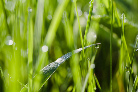绿草与水宏形象滴眼液