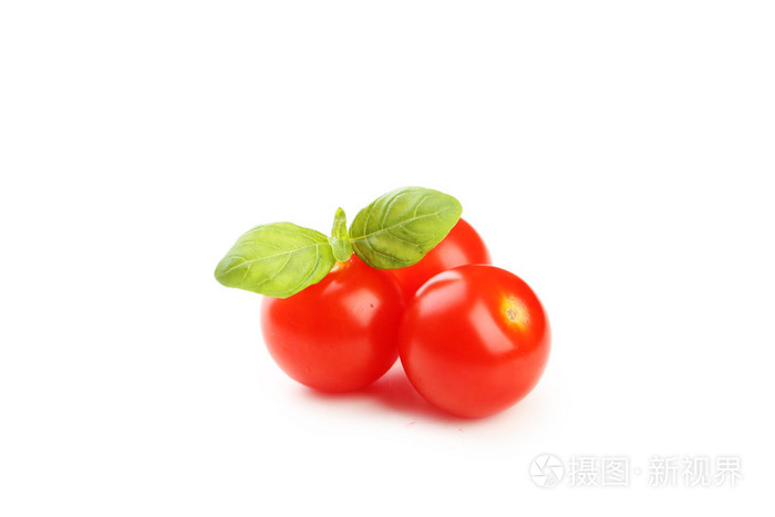 西红柿和罗勒叶
