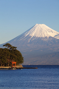 富士山和海