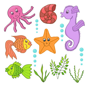 海洋动物的插图