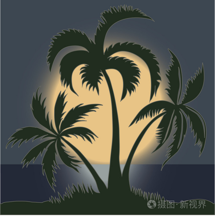 在上海滩月光下的棕榈树矢量