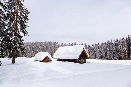 斯洛文尼亚阿尔卑斯山冬季度假屋
