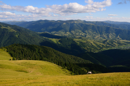 单远马山区