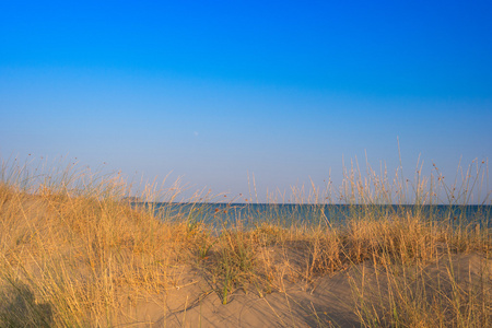阳光明媚的沙滩与沙丘和蓝蓝的天空