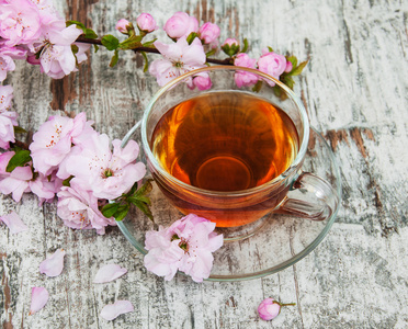 Cup 的茶，樱花盛开