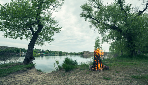 在春天森林篝火.把炭火照片
