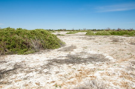 沙漠盐湖的盐渍土. 没有生命的焦土. 哈萨克斯坦裸草原照片