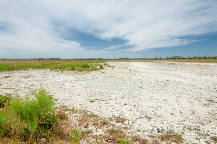 盐中的盐水. 草原草原蔬菜. 沙漠盐湖的盐渍土. 没有生命的焦土.