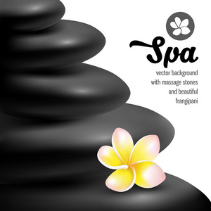 spa 按摩石