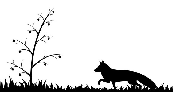 狐狸在草丛中的剪影