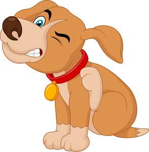 卡通搔痒年轻的比特斗牛犬照片