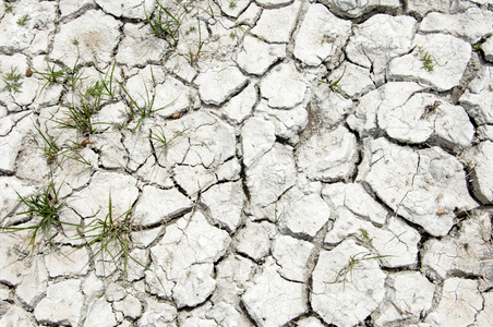 地面的裂缝。干旱。土壤侵蚀，开裂质地。干裂的地面。