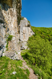 在春天的山风景