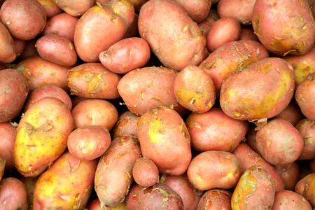 很多原始的褐色土豆