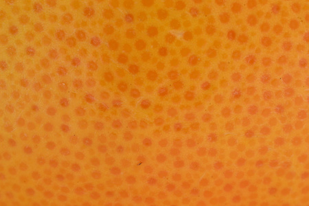 新鲜的橘子纹理图片