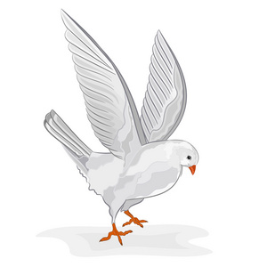 白鸽飞过地球行星矢量自然的白鸽和灰色颜色现代风格矢量图面设计.