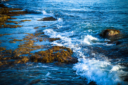 石质海岸上的海浪中充满了泡沫。色调