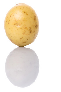 白色背景下的婴儿土豆