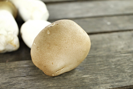 王牡蛎蘑菇杏鲍菇蘑菇