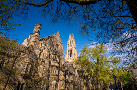 耶鲁大学建筑在春天蓝色的天空