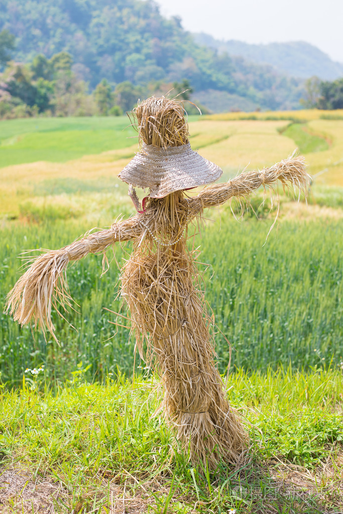 麦田里的稻草人