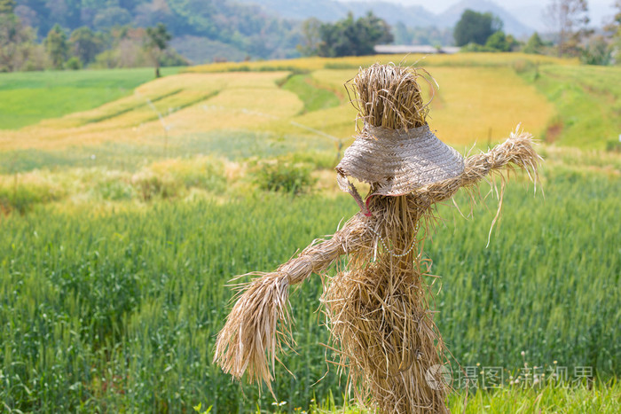 麦田里的稻草人