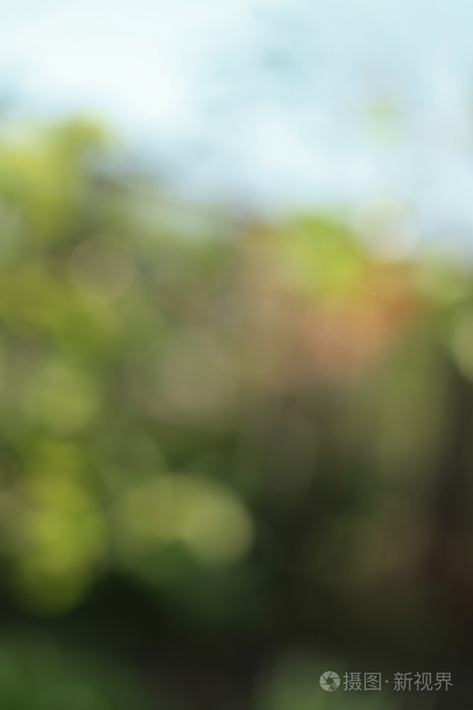 花卉背景模糊照片-正版商用图片1j2glf-摄图新视界