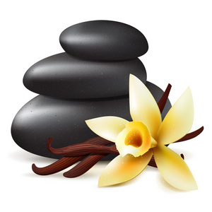 Spa 芳香疗法黑石头和花