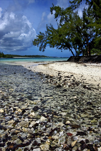 ile 杜芬岛