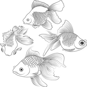 金鱼的黑色剪影图片-金鱼的黑色剪影素材-金鱼的黑色剪影插画-摄图新