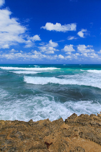 海滩和热带海