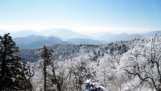 从韩国的滑雪胜地欣赏风景