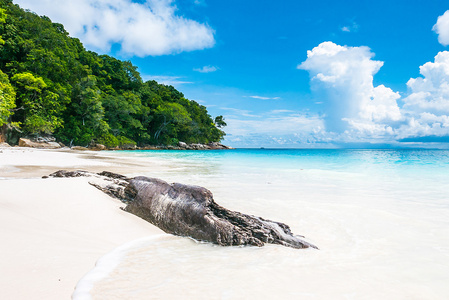 热带海滨风景