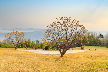 对在泰国国家公园露营山景观