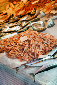 卡塔尼亚鱼市场