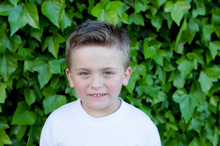 微笑的蓝眼睛的男孩约 5 年