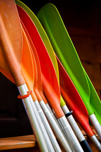 多彩的桨