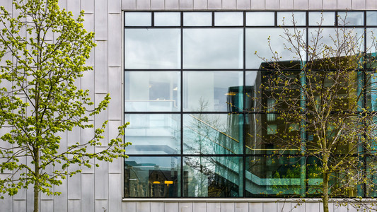 现代化的办公大楼外观与许多 windows 反射和树