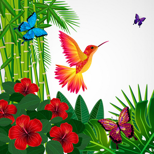 热带花卉设计背景与鸟，蝴蝶